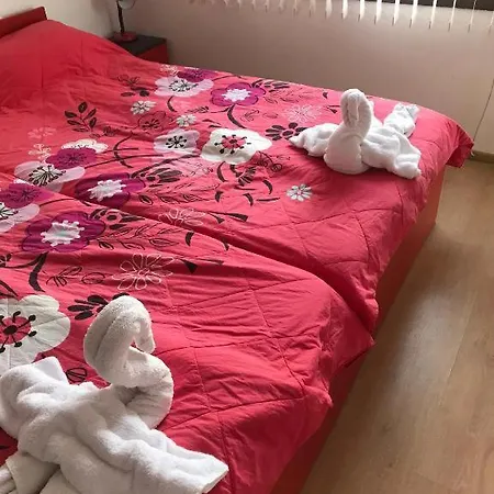 алла בית הארחה ביאלה